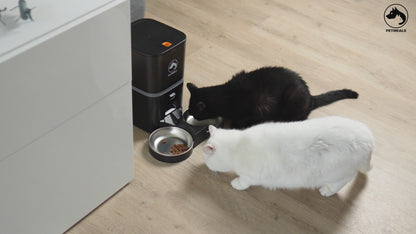 2. PetMeals® Automatische Voerbak - Camera - Dual Bowl
